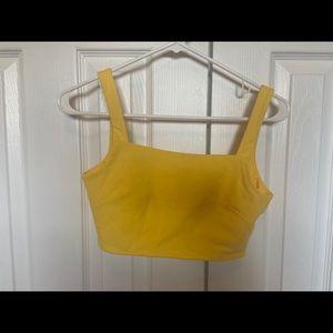 Paragon Sports Bra/Crop Top